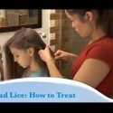 Head Lice Problem In BloNo? That is the Rumor