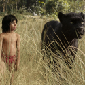 Watch The First Live Action Footage For The Jungle Book Movie [VIDEO]