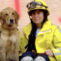 Meet Bretagne: The Last Living Search & Rescue Dog From Ground Zero [VIDEO]