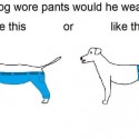 Dog Pants Sales Skyrocket After Funny Tweet Goes Viral