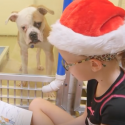 Animal Shelter Encourages Kids To Read To Orphaned Dogs [VIDEO]