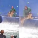 ‘A Dog’s Purpose’ Producers Under-Fire For Forcing German Shepherd To Film [VIDEO]